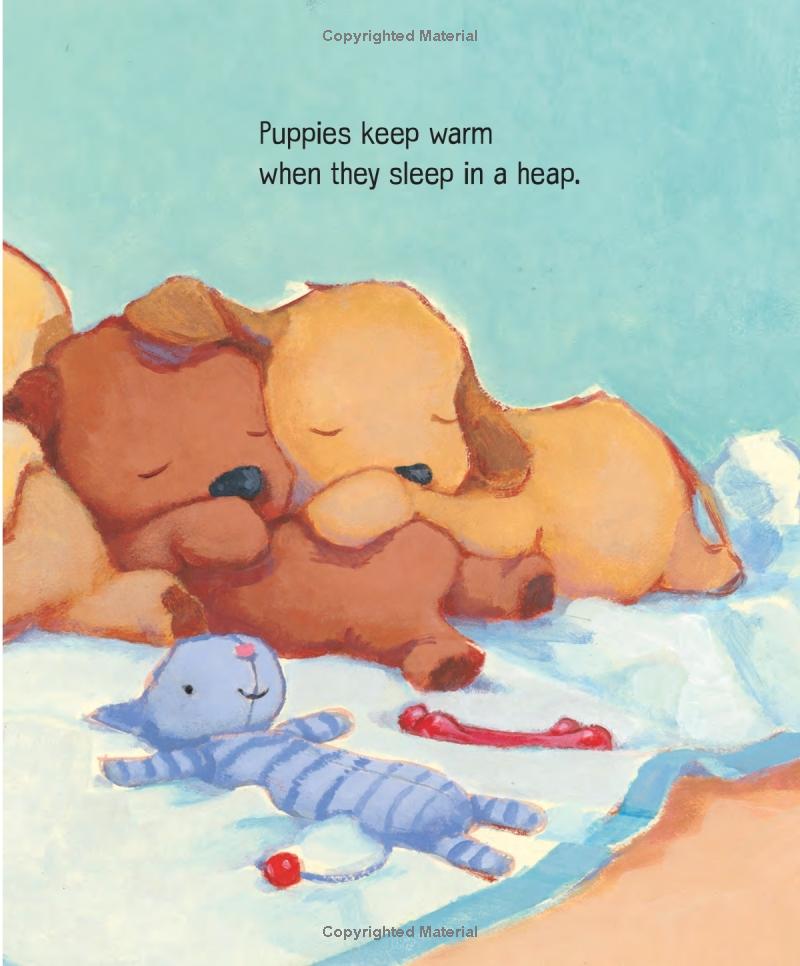 How Do Giraffes Take Naps? (Little Golden Book)