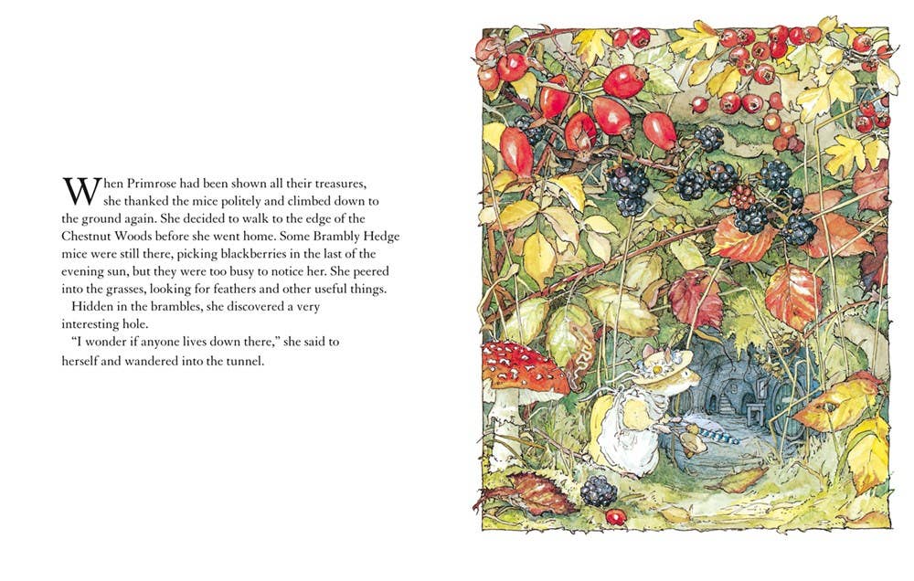 Autumn Story Brambly Hedge