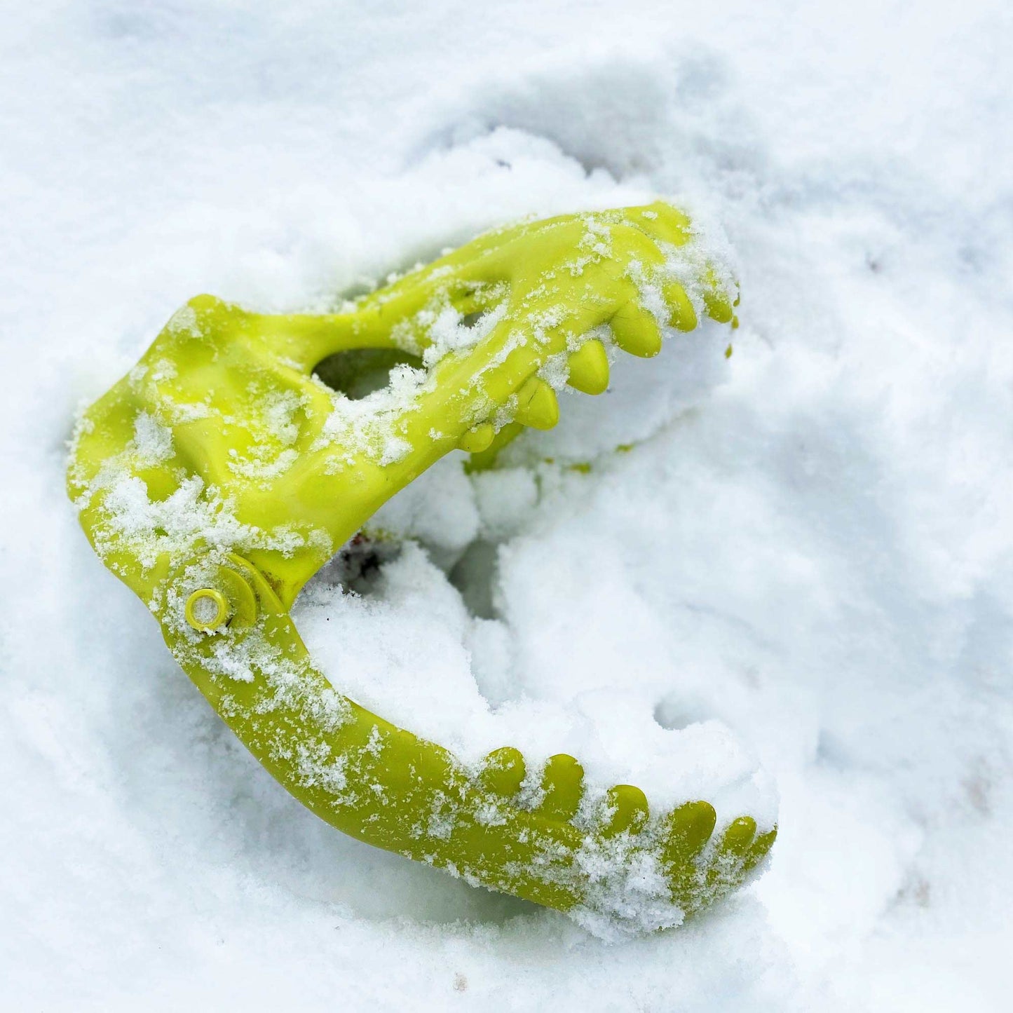 Dinosaur Sand Glove