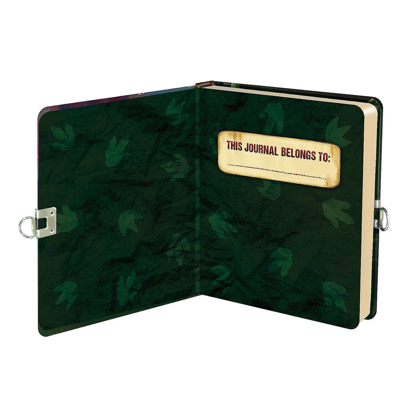 Glow In The Dark Dinosaur Diary