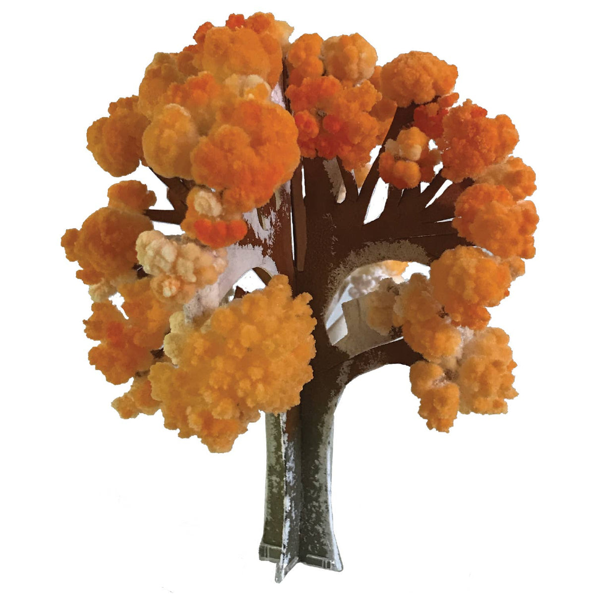 Crystal Growing Maple Tree |
Craft Kit Science Kit