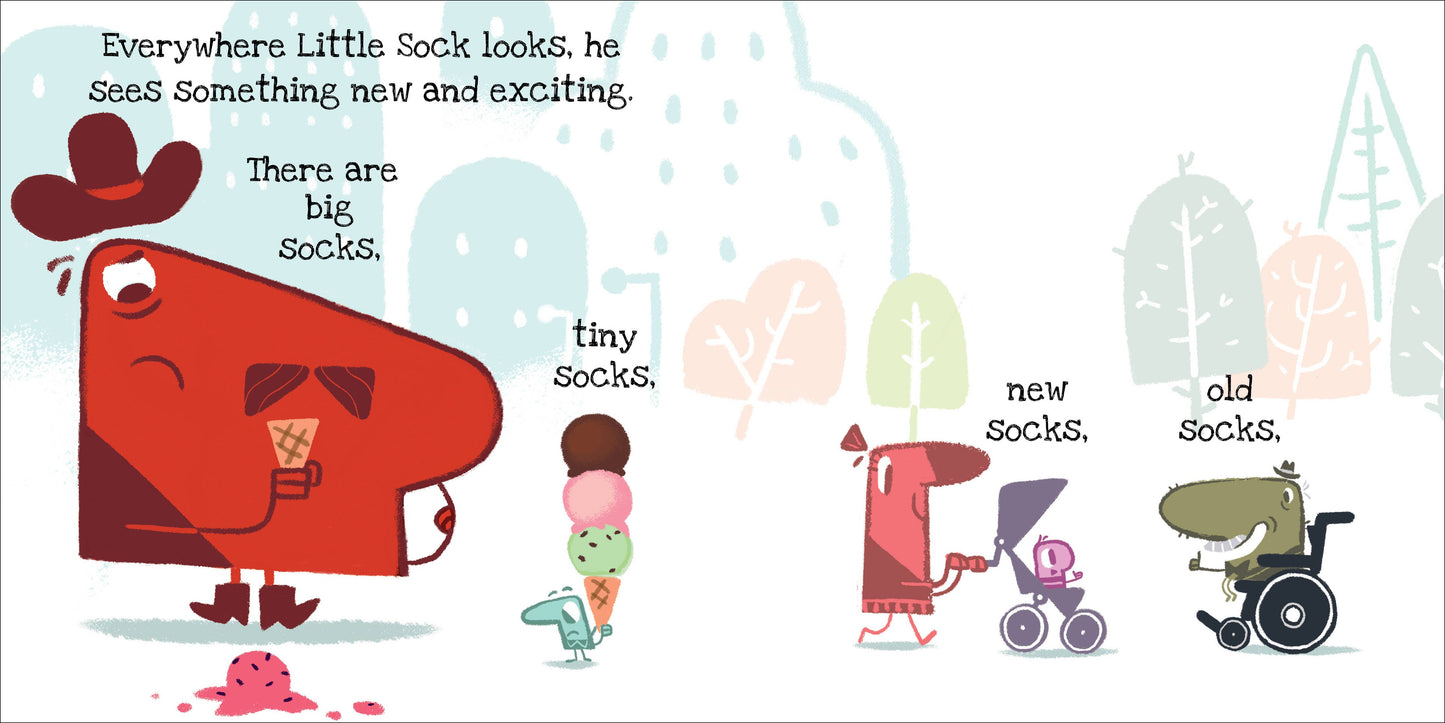 Little Sock Picture Book