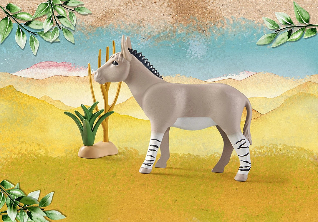 African Wild Donkey - Wiltopia