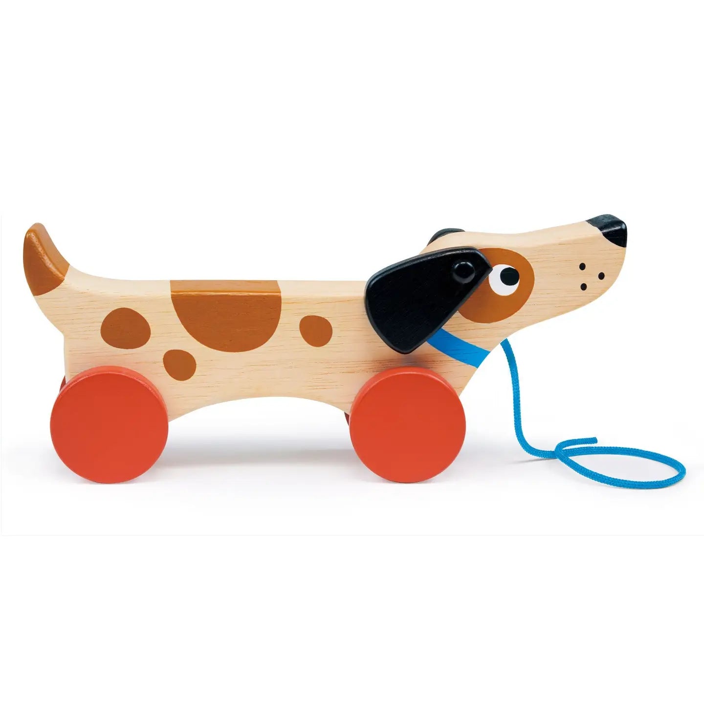 Puppy On Wheels (Mentari)