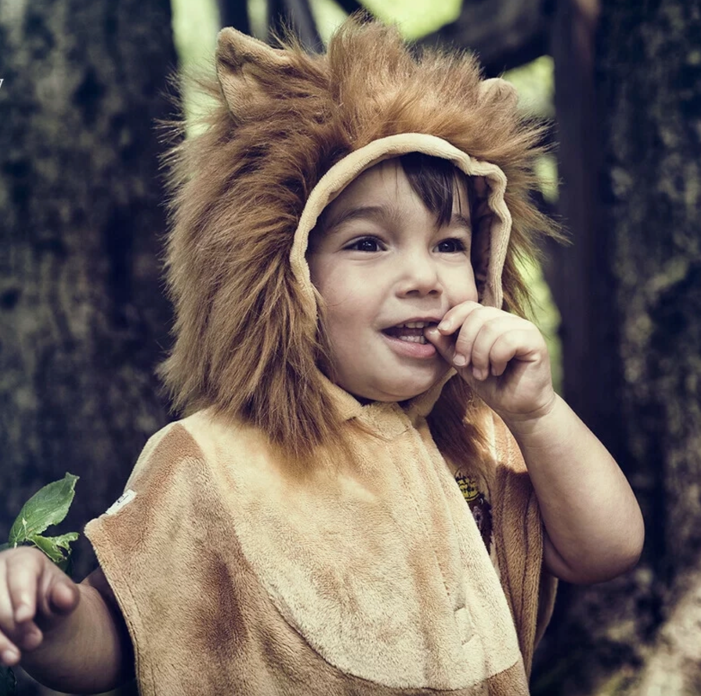 "Peke" Lion Costume Cape For Babies-Carnival & Festive-2yrs