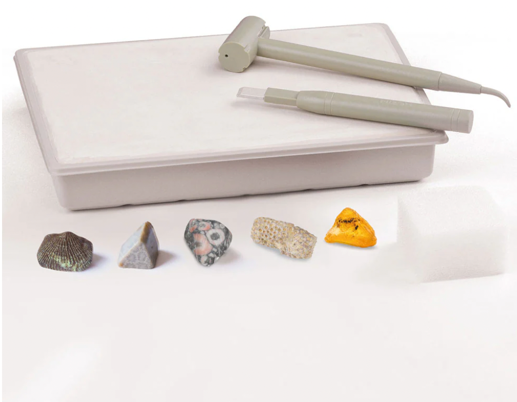 I Dig It! Fossils - Real Fossils Excavation Kit