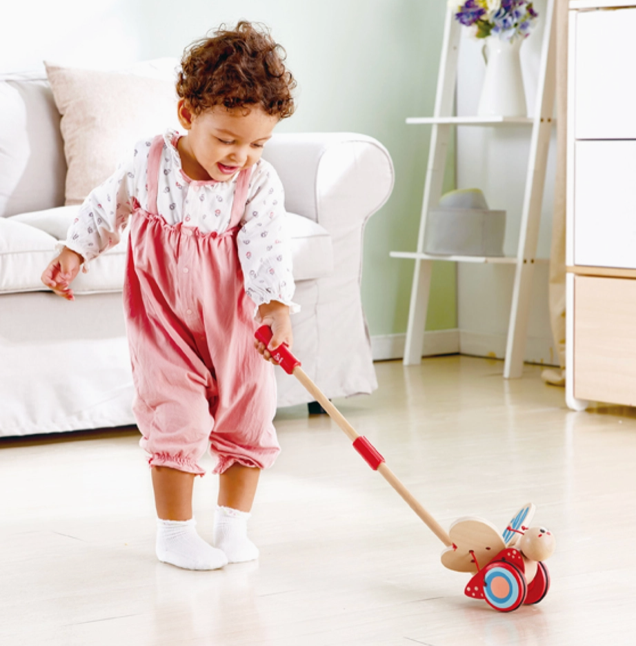 Butterfly Push Toy
