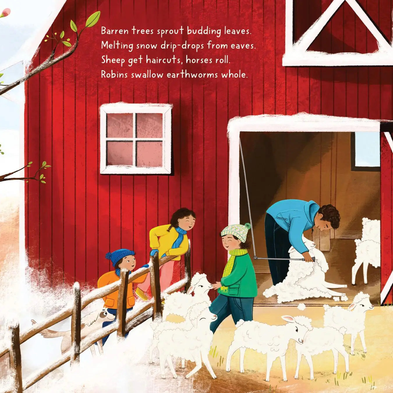 Seasons On the Farm Picture Book