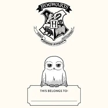 Hedwig Squishy Lock & Key Diary