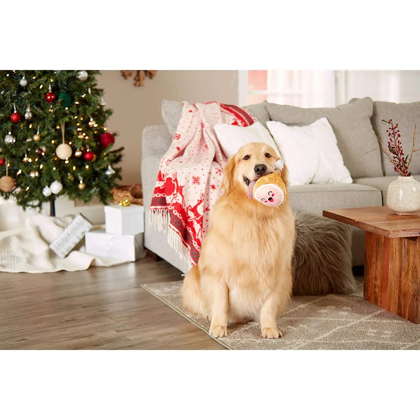 Mc Hammy Plush Dog Toy with Rope