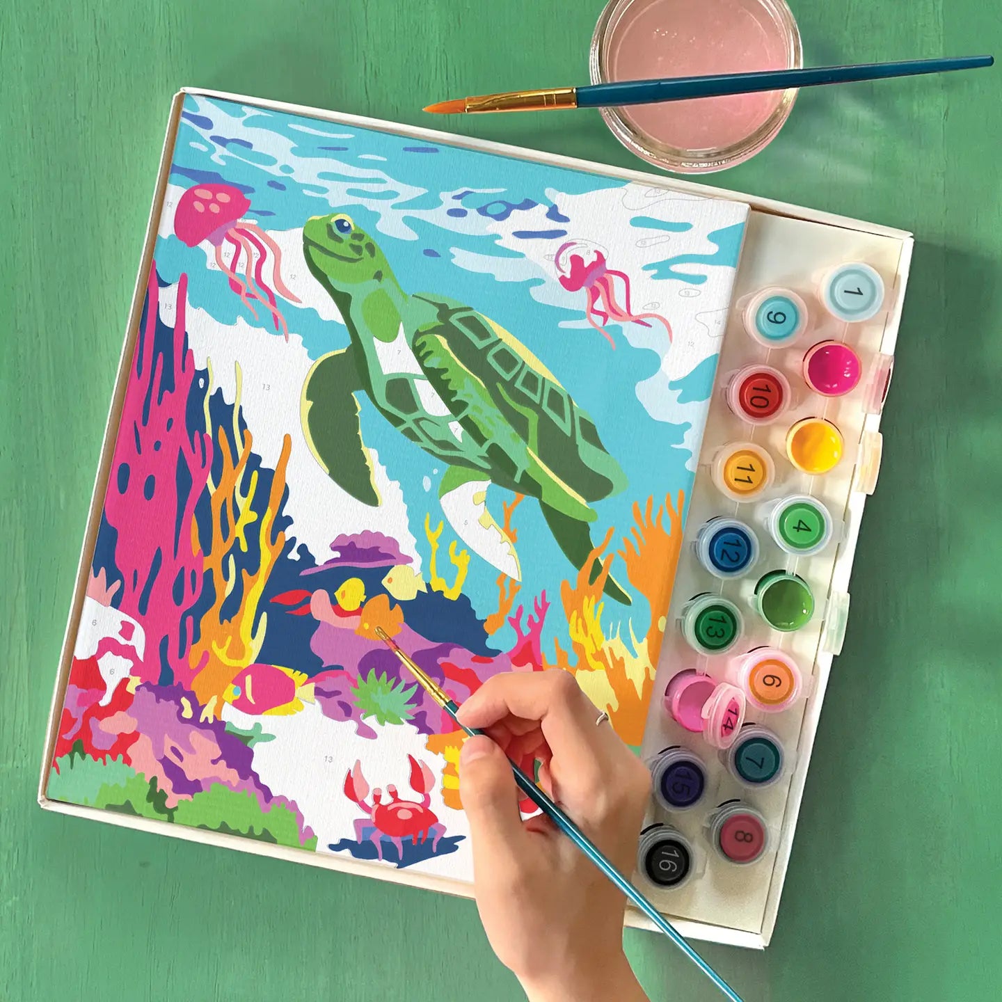 Amazing Ocean Paint By Numbers