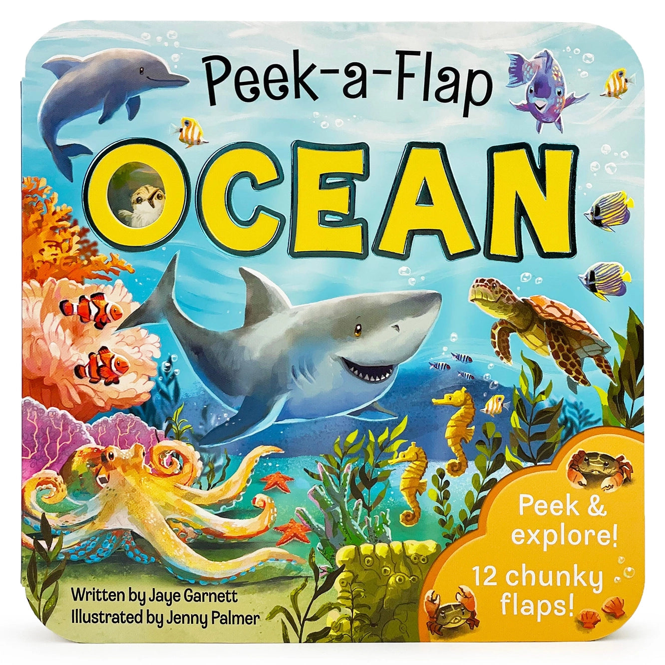 Ocean Lift-A-Flap Board Book