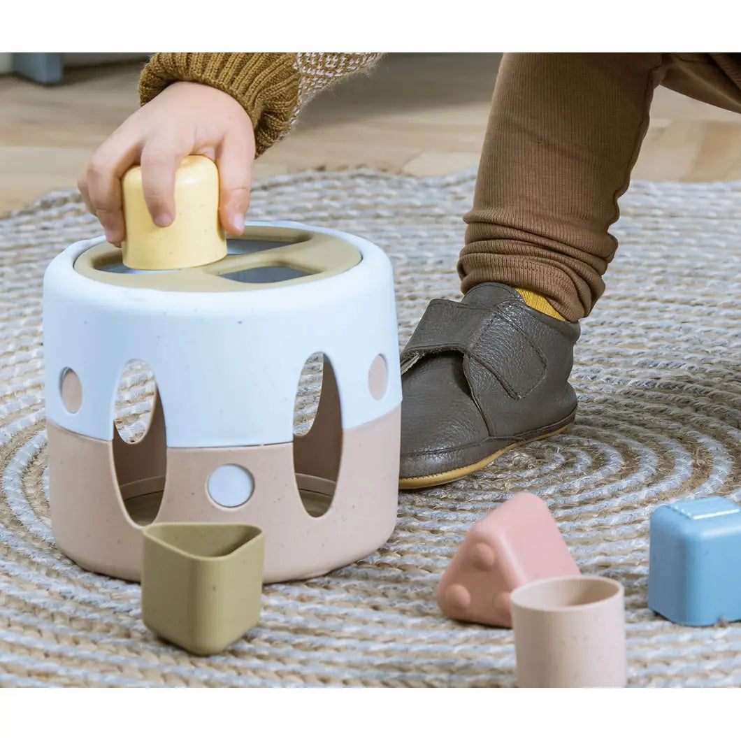 Dantoy Tiny Bio Shape Sorter in Gift Box