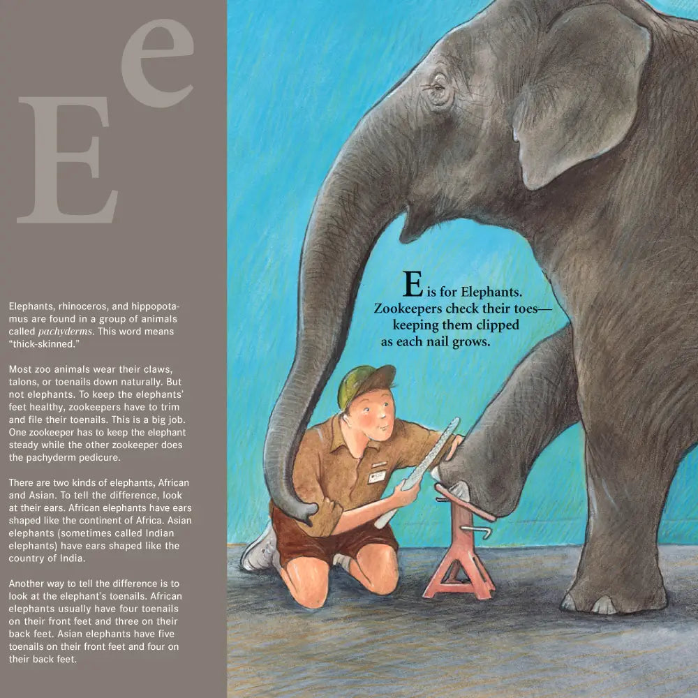 Z Is For Zookeeper: A Zoo Picture Book Paperback