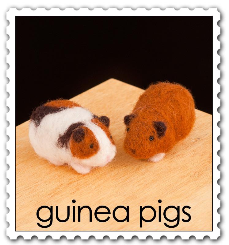 Guinea Pigs Needle Felting Kit