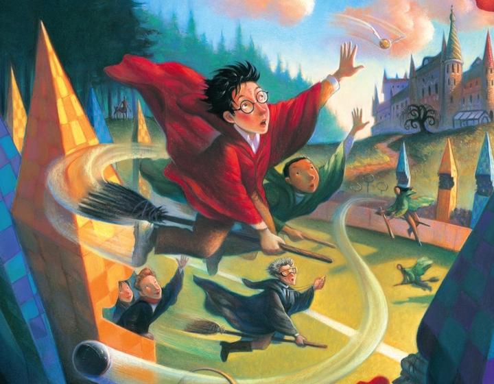 QUIDDITCH MINI 100pc