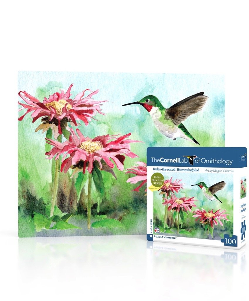 RUBY-THROATED HUMMINGBIRD MINI 100pc