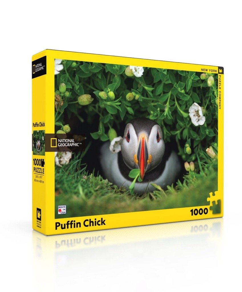 PUFFIN CHICK 1000pc