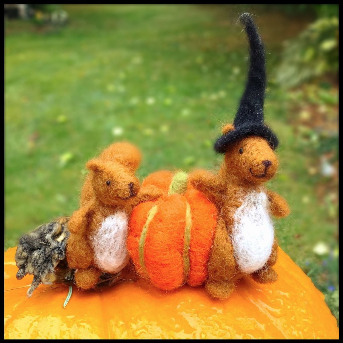 Squirrel Needle Felting Kit