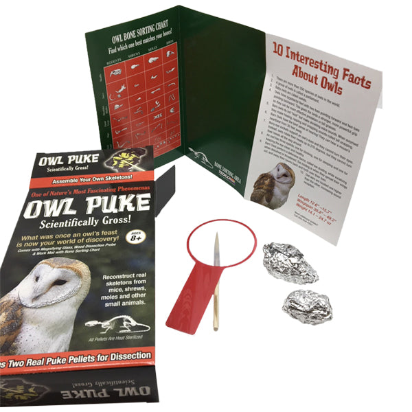 Owl Puke
