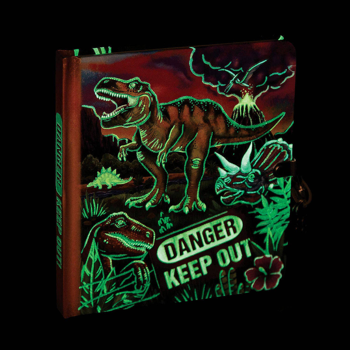 Glow In The Dark Dinosaur Diary