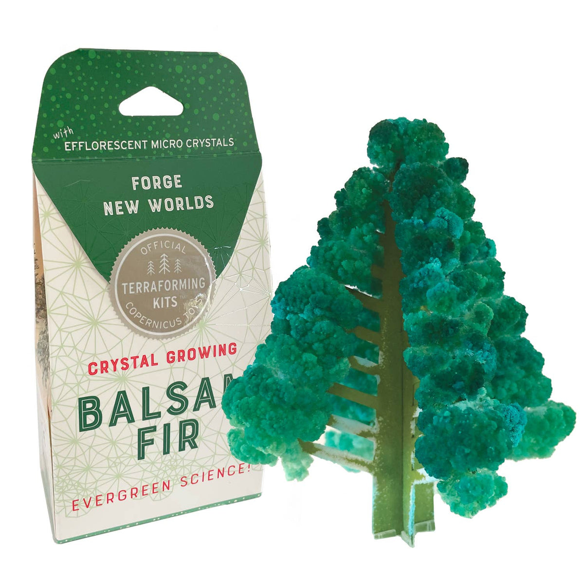 Crystal Growing Balsam Fir |
STEM craft kit