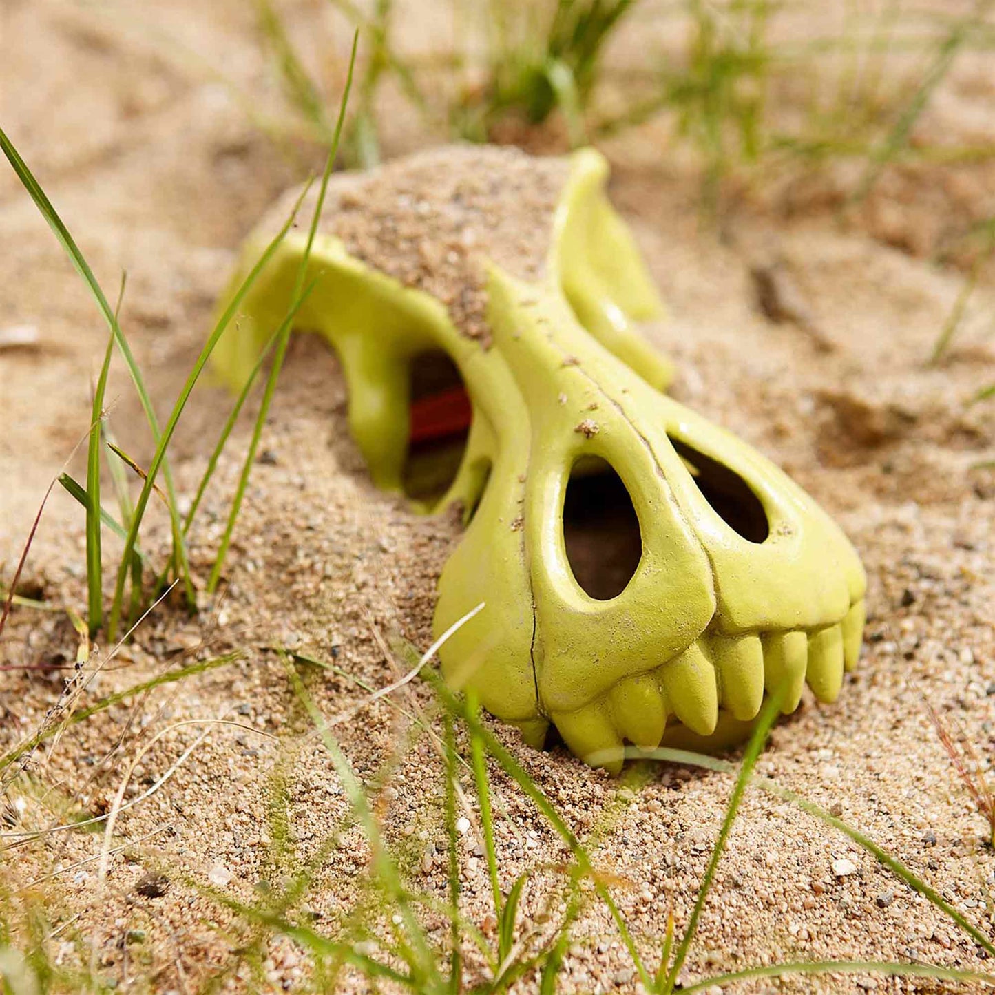 Dinosaur Sand Glove