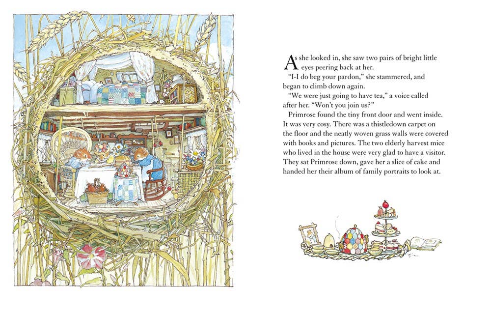 Autumn Story Brambly Hedge