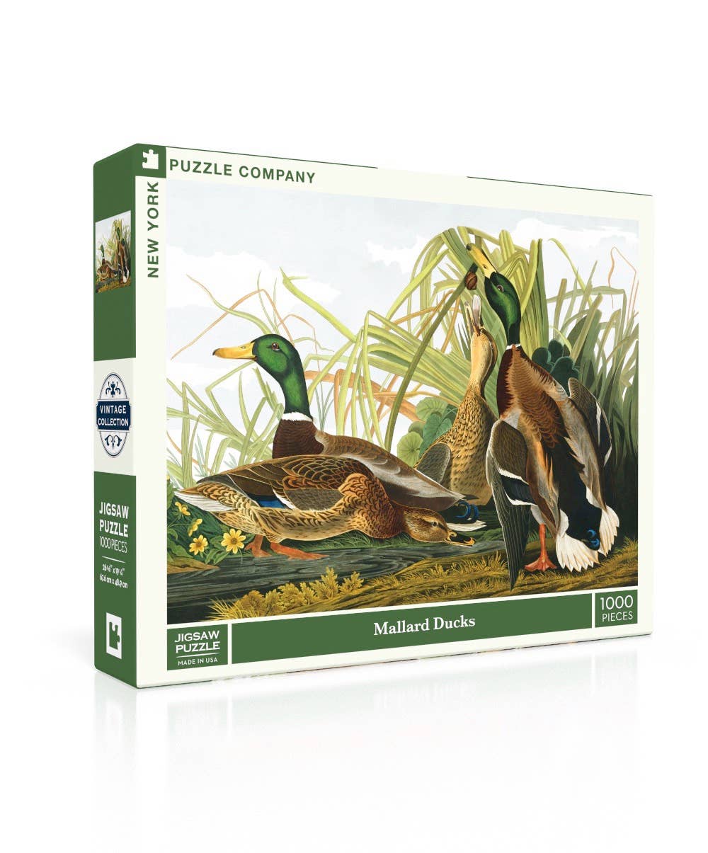 Mallard Ducks - 1000 Piece Puzzle