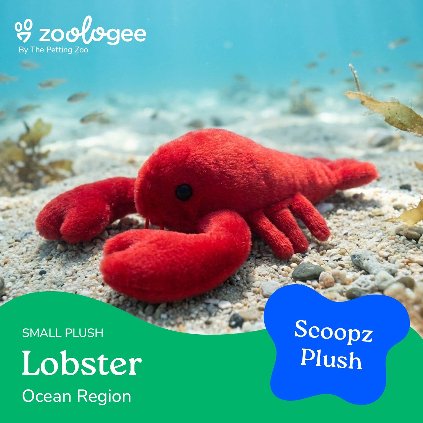 Scoopz Red Lobster