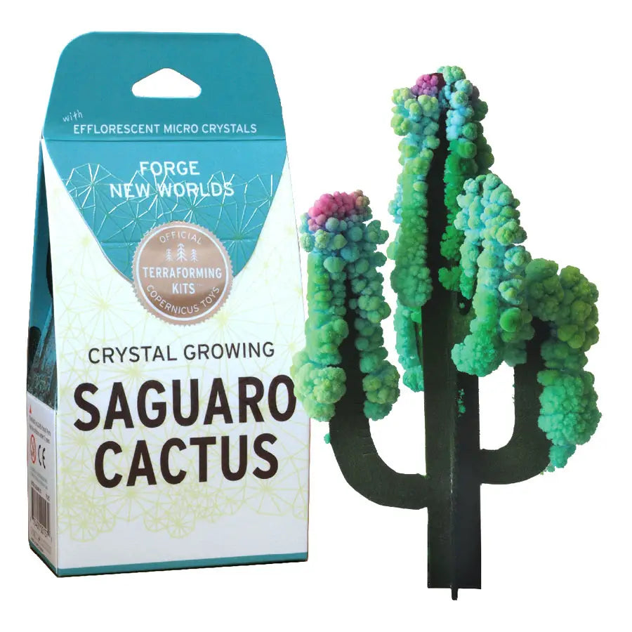 Saguaro Cactus Crystal Growing