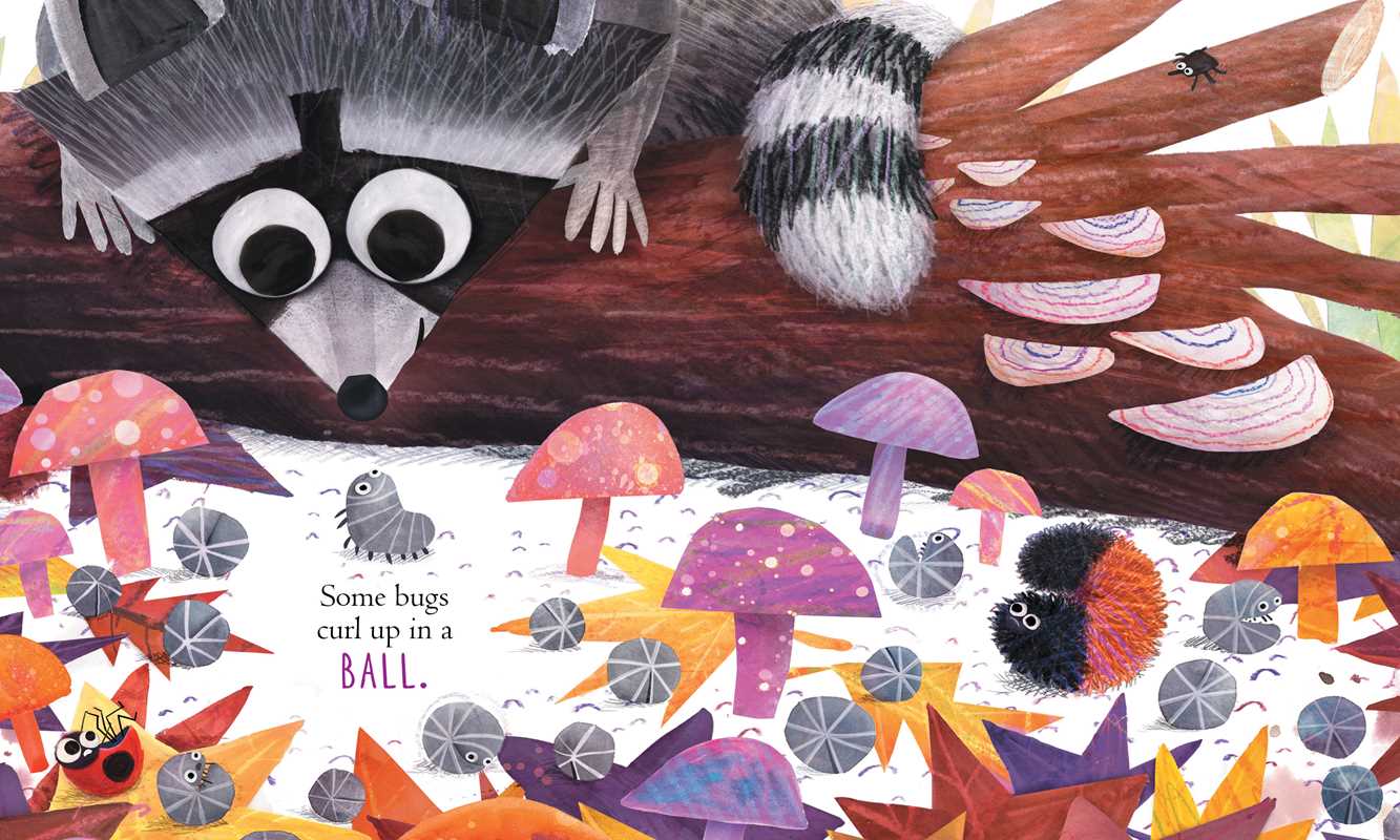 Some Bugs (board book)