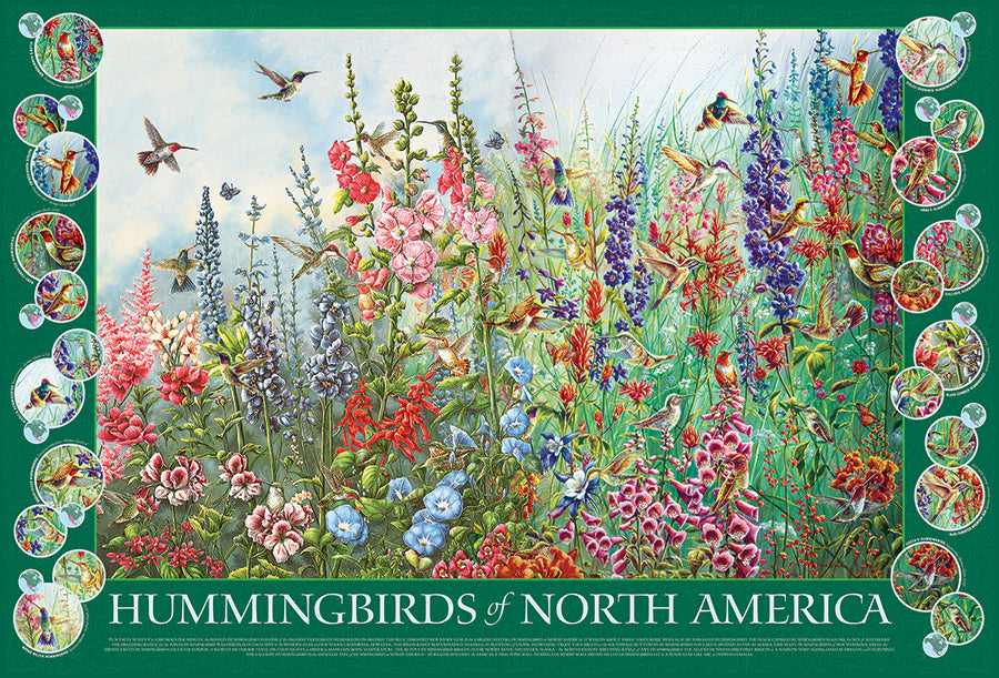 Hummingbirds of North America 2000pc