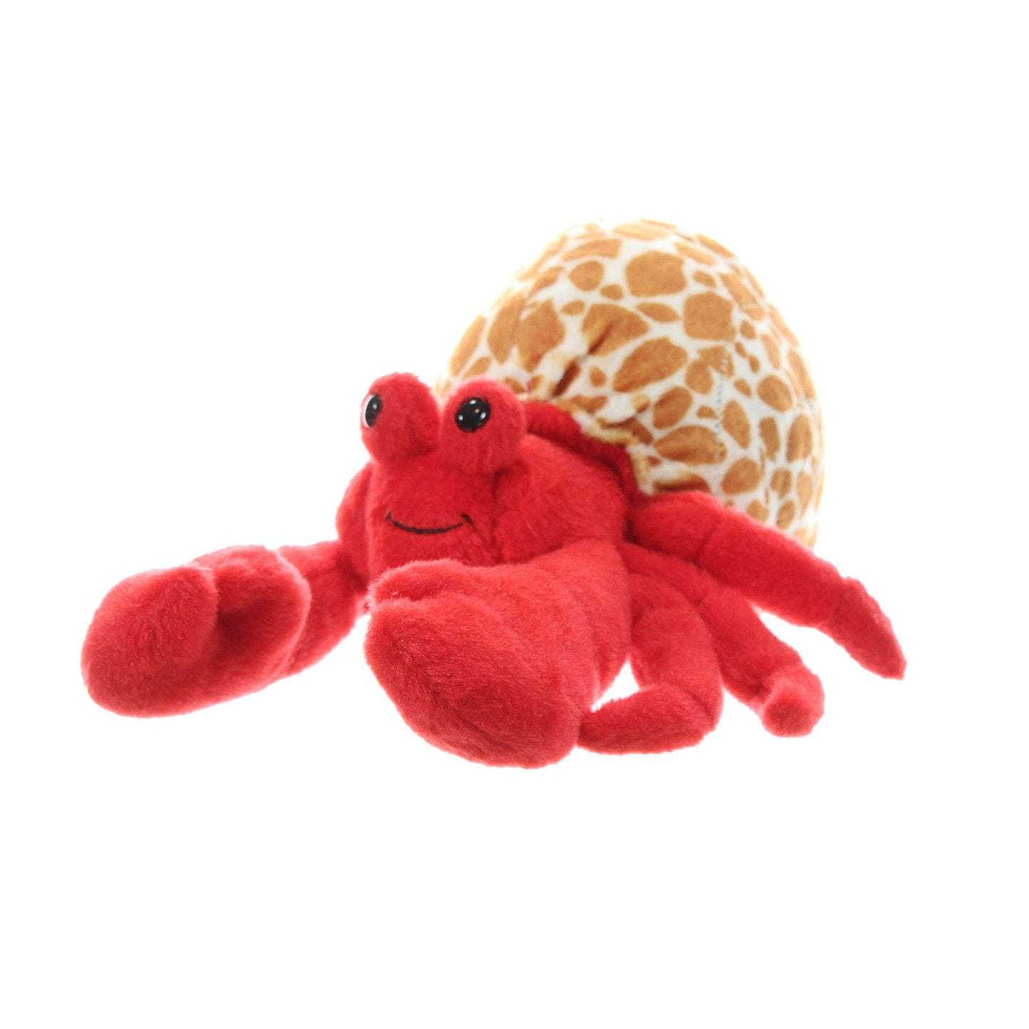 Wild Onez Small Hermit Crab