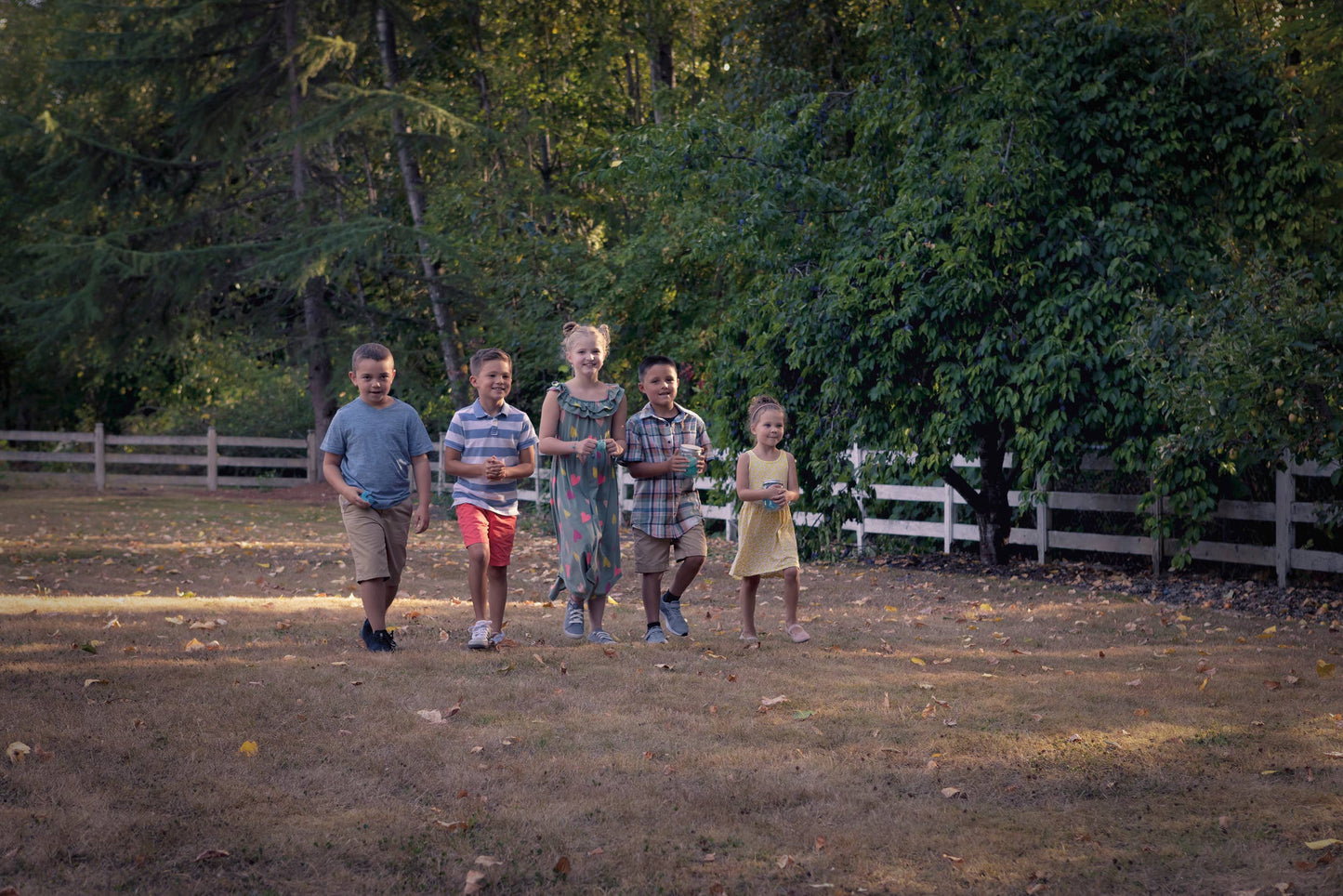 Chasing Fireflies Game