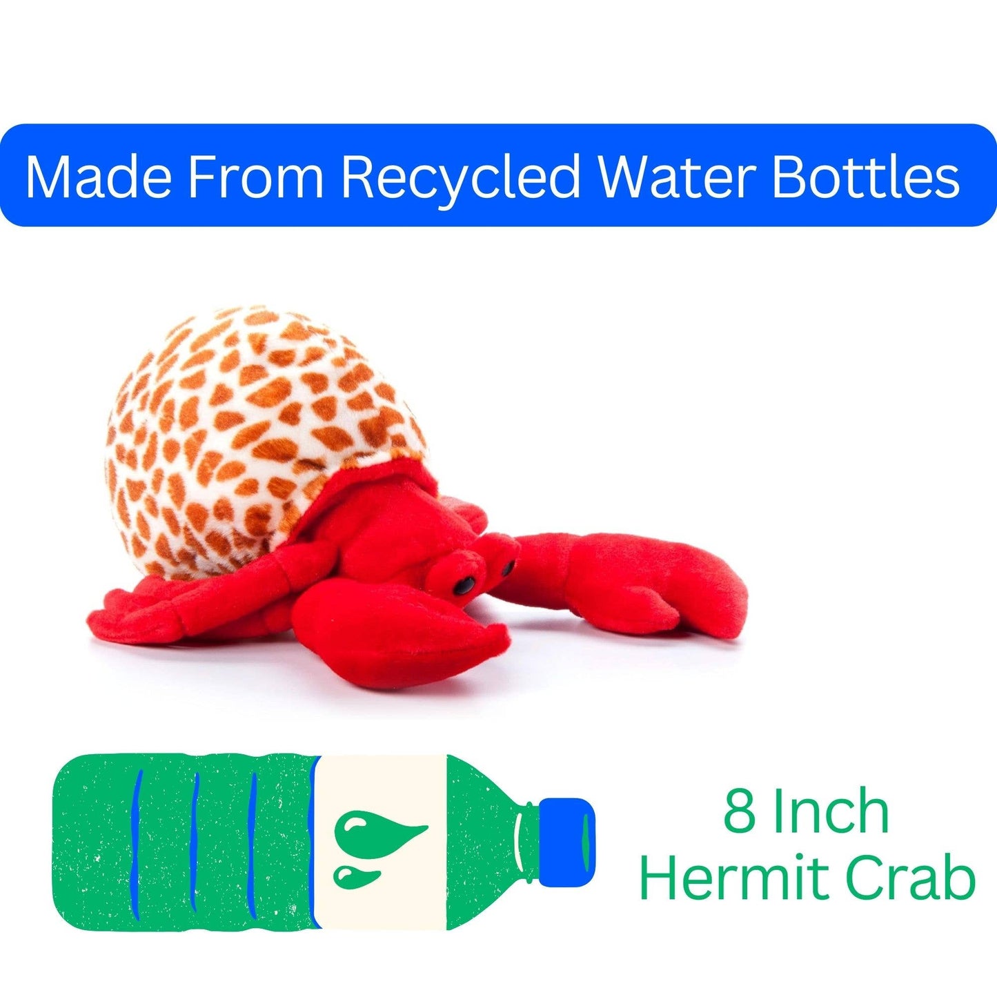 Wild Onez Small Hermit Crab