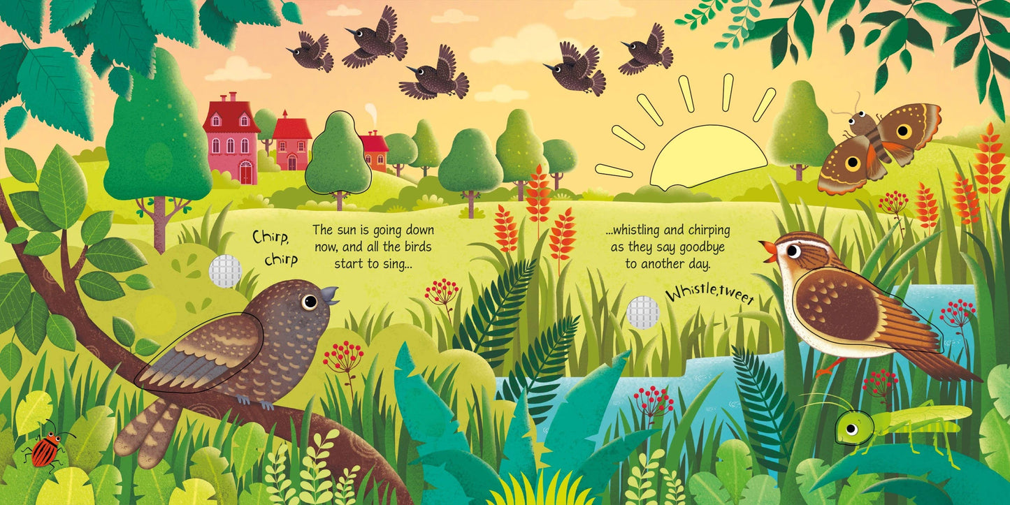 Bird Sounds: Usborne