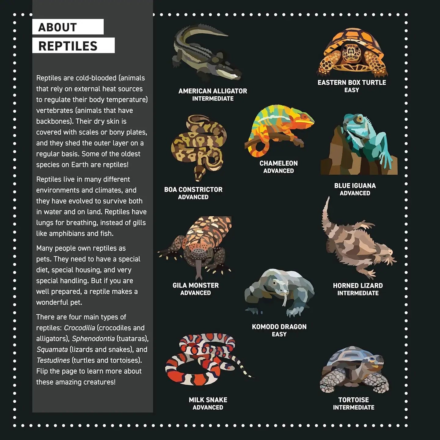 My Sticker Paintings: Reptiles