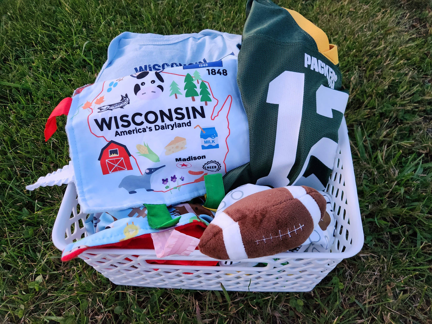 Wisconsin State Baby Crinkle Tag Square 8"x 8" Toy