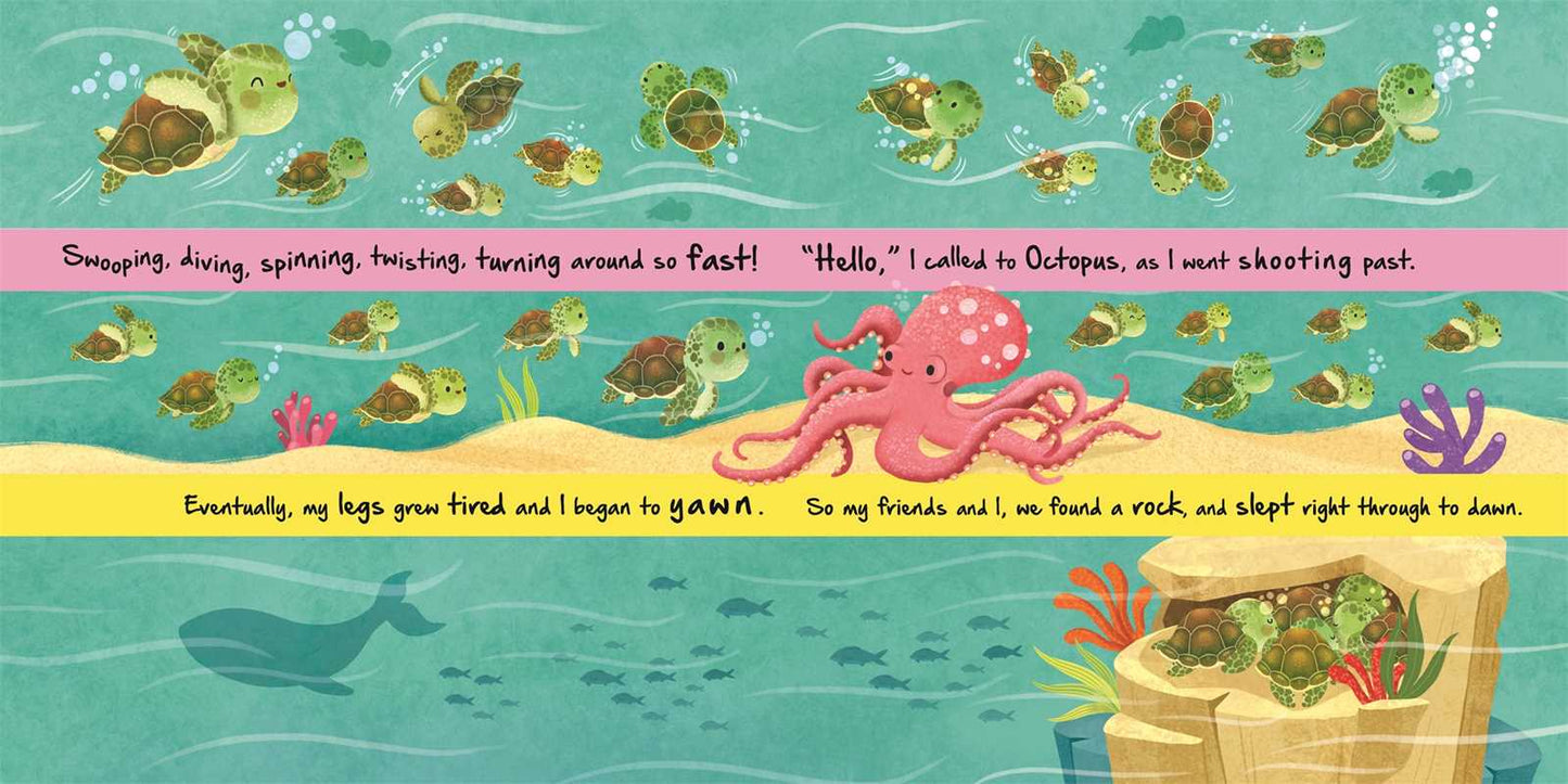 Nature Stories: Little Turtle