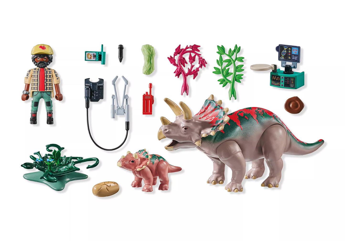 Triceratops Family