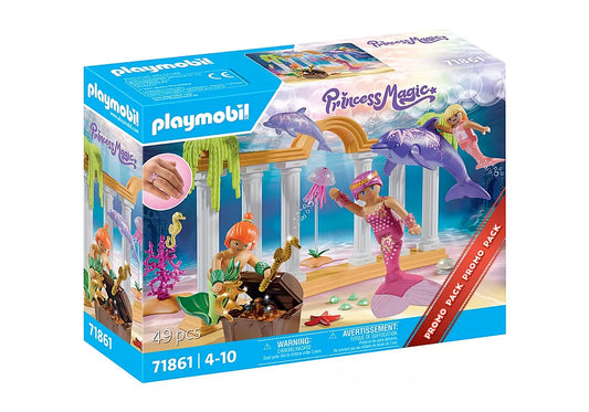 Mermaid Treasure with Dolphins