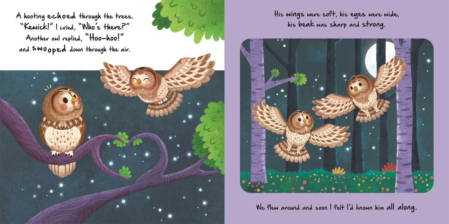 Nature Stories: Little Owl