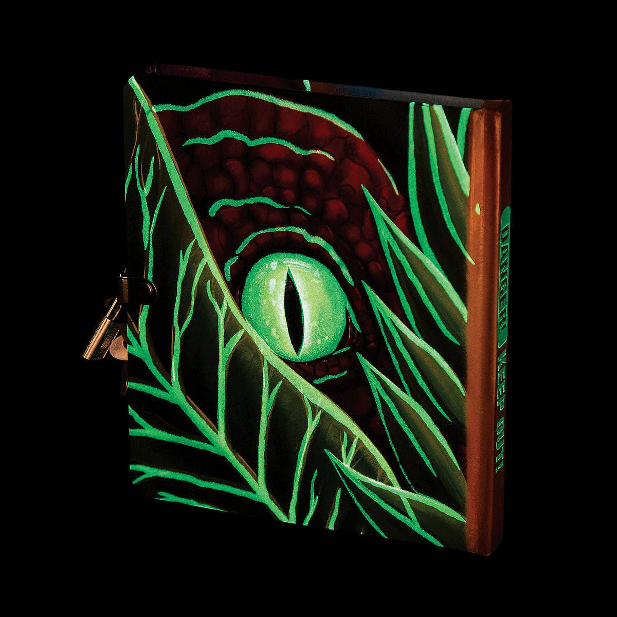 Glow In The Dark Dinosaur Diary