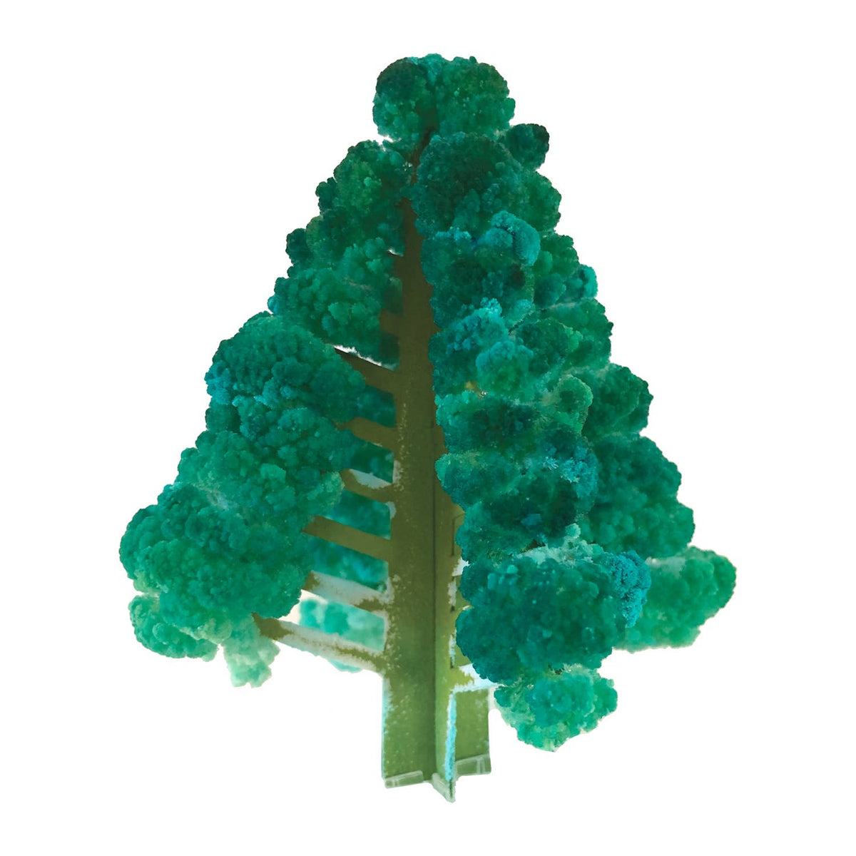 Crystal Growing Balsam Fir |
STEM craft kit
