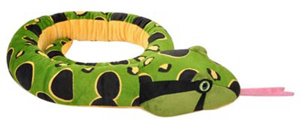 Green Anaconda Snake