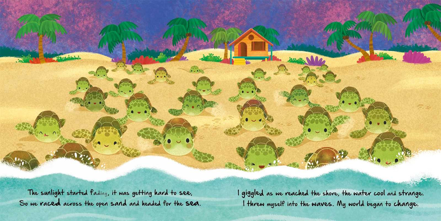 Nature Stories: Little Turtle