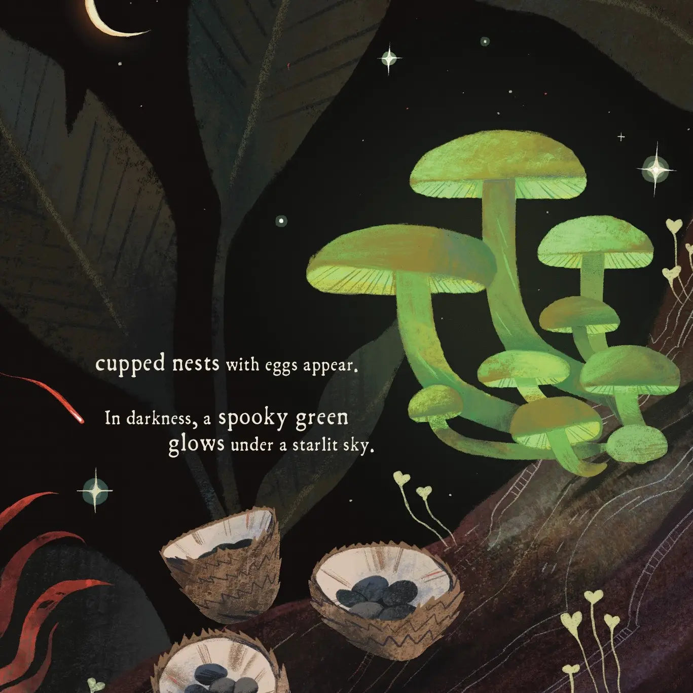 Mushroom Rain, Picture Book