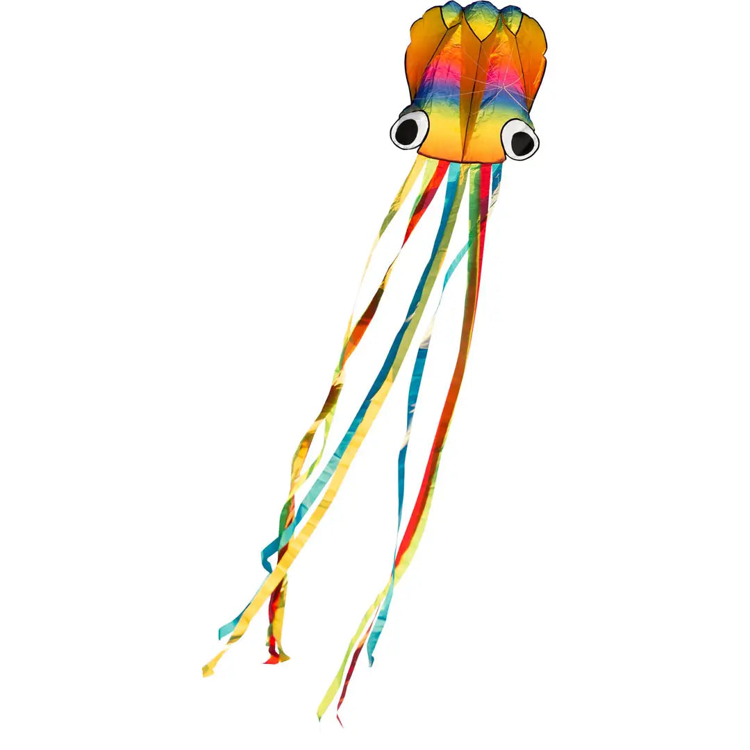 Rainbow Octopus Kite