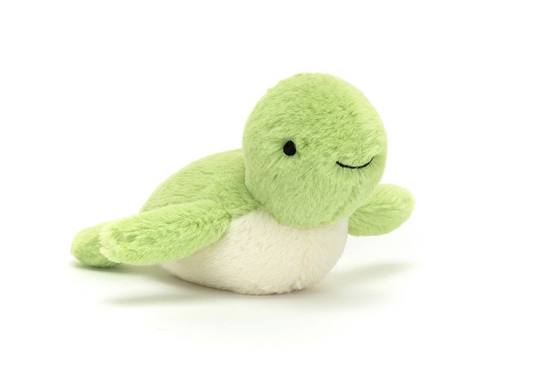 Fluffy Turtle